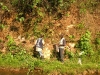 grab_sampling_of_quartz_vein_on_river_bank_fs